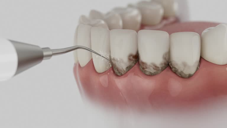 Reliable Dental contractor in McKeesport, PA by Dentist Open Now